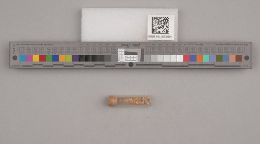 NSF ADBC EPICC TCN