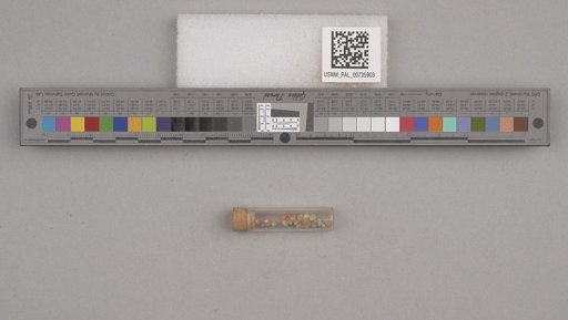 NSF ADBC EPICC TCN