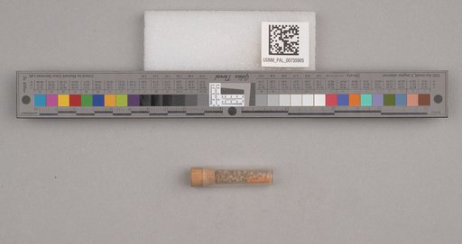 NSF ADBC EPICC TCN