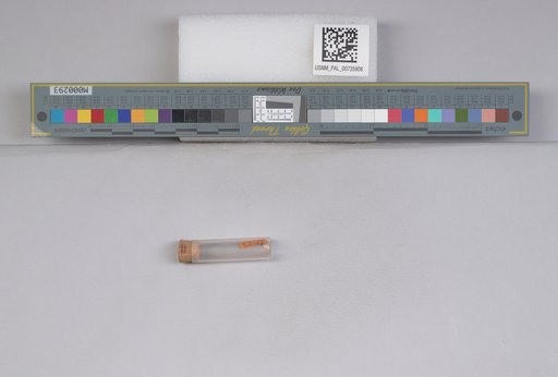 NSF ADBC EPICC TCN