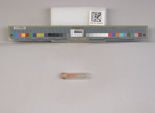 NSF ADBC EPICC TCN