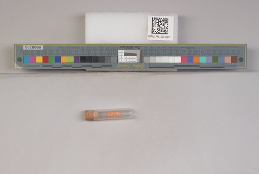NSF ADBC EPICC TCN