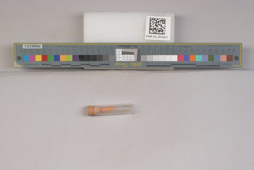 NSF ADBC EPICC TCN