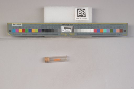 NSF ADBC EPICC TCN