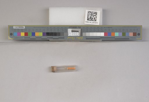 NSF ADBC EPICC TCN