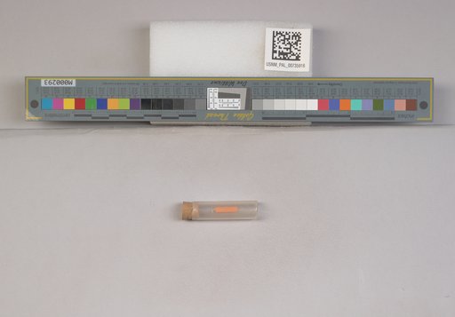 NSF ADBC EPICC TCN