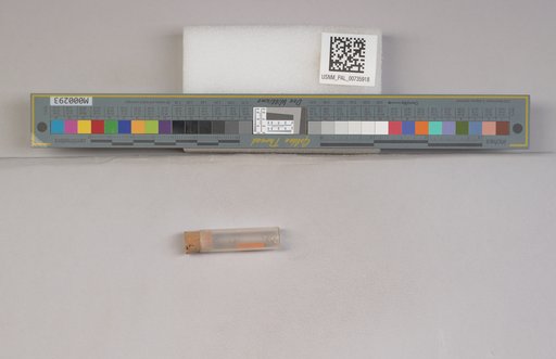 NSF ADBC EPICC TCN