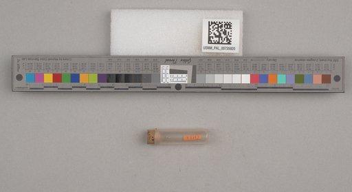 NSF ADBC EPICC TCN