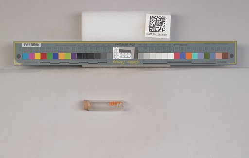 NSF ADBC EPICC TCN
