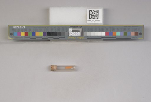 NSF ADBC EPICC TCN