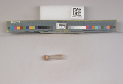 NSF ADBC EPICC TCN