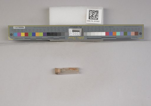 NSF ADBC EPICC TCN