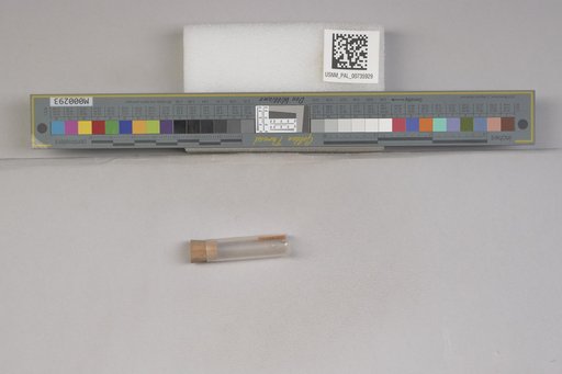 NSF ADBC EPICC TCN