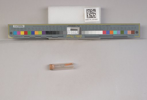 NSF ADBC EPICC TCN