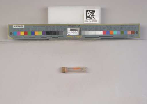 NSF ADBC EPICC TCN
