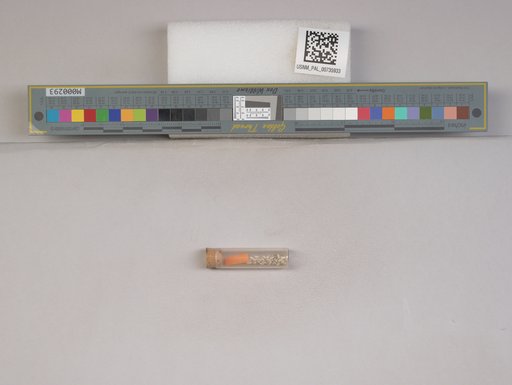 NSF ADBC EPICC TCN
