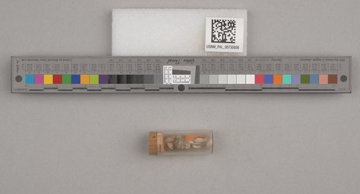 NSF ADBC EPICC TCN