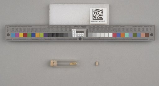 NSF ADBC EPICC TCN