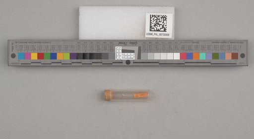 NSF ADBC EPICC TCN
