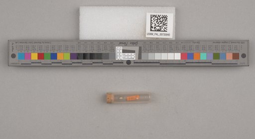 NSF ADBC EPICC TCN