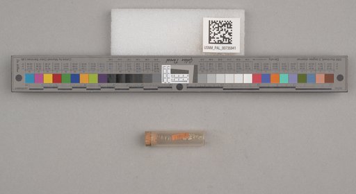 NSF ADBC EPICC TCN