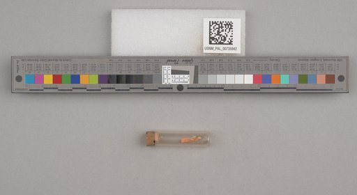 NSF ADBC EPICC TCN
