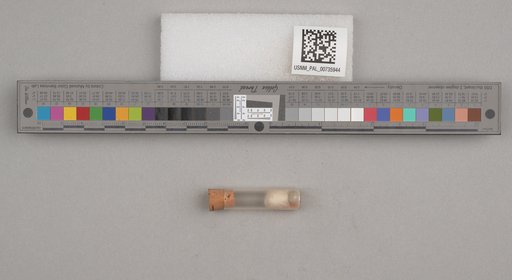 NSF ADBC EPICC TCN