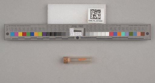 NSF ADBC EPICC TCN