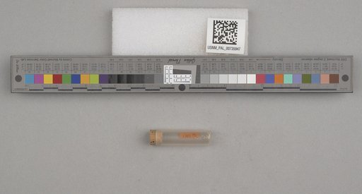 NSF ADBC EPICC TCN
