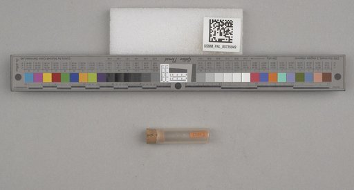 NSF ADBC EPICC TCN