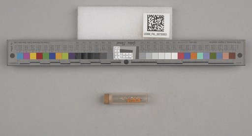 NSF ADBC EPICC TCN