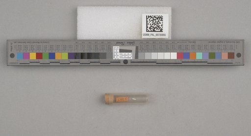 NSF ADBC EPICC TCN