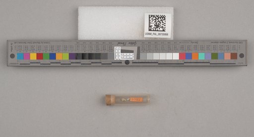 NSF ADBC EPICC TCN