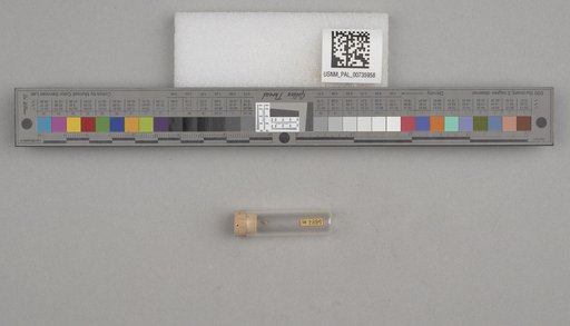 NSF ADBC EPICC TCN