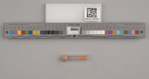 NSF ADBC EPICC TCN