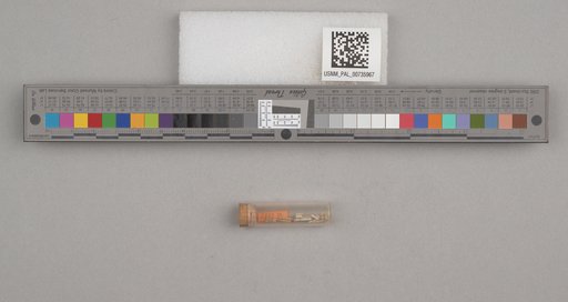 NSF ADBC EPICC TCN