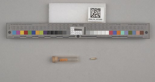 NSF ADBC EPICC TCN