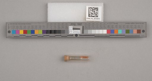NSF ADBC EPICC TCN