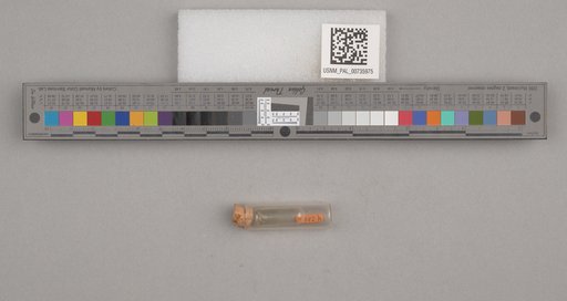 NSF ADBC EPICC TCN