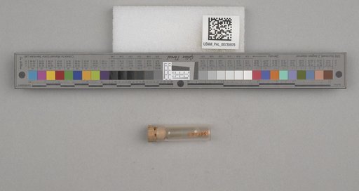 NSF ADBC EPICC TCN
