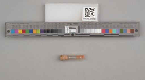 NSF ADBC EPICC TCN