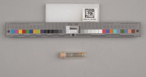 NSF ADBC EPICC TCN