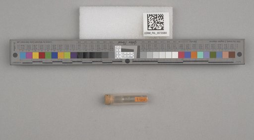NSF ADBC EPICC TCN