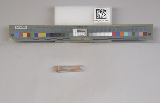 NSF ADBC EPICC TCN