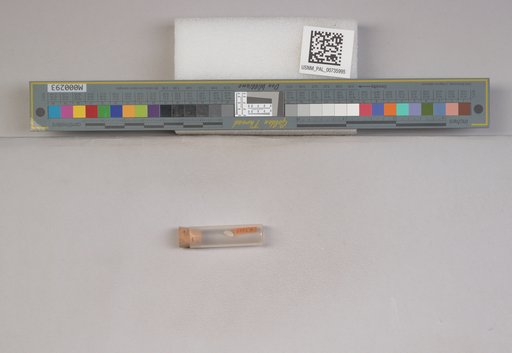 NSF ADBC EPICC TCN