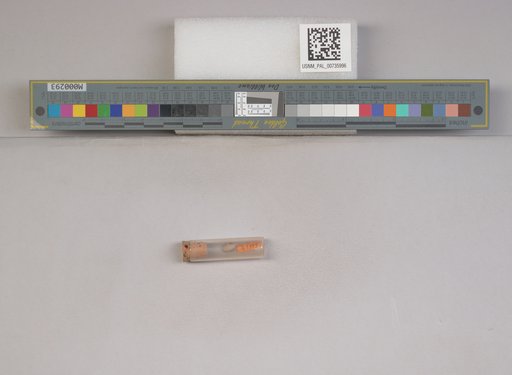 NSF ADBC EPICC TCN
