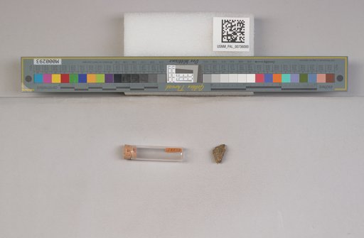 NSF ADBC EPICC TCN