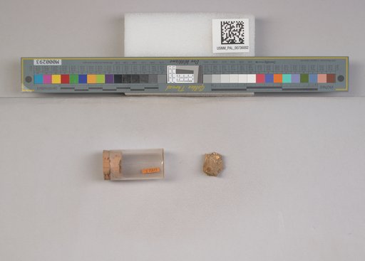 NSF ADBC EPICC TCN