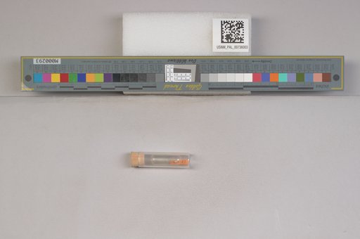 NSF ADBC EPICC TCN