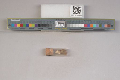 NSF ADBC EPICC TCN